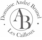 Domain Andrè Brunel